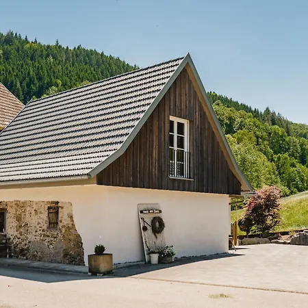 Idyllisch Gelegenes Am Baechle Host100 Direkt An Romantischem Bergbach Gelegen Prázdninový dům