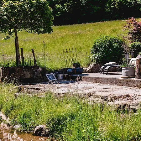 Prázdninový dům Idyllisch Gelegenes Am Baechle Host100 Direkt An Romantischem Bergbach Gelegen Hofstetten (Baden-Wurttemberg)
