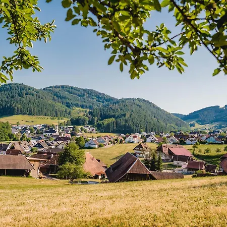 Idyllisch Gelegenes Am Baechle Host100 Direkt An Romantischem Bergbach Gelegen Hofstetten (Baden-Wurttemberg)