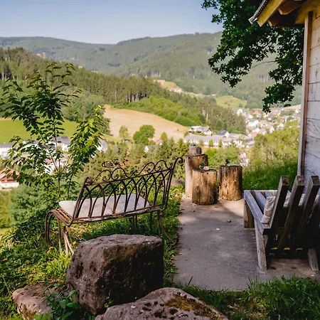 Prázdninový dům Idyllisch Gelegenes Am Baechle Host100 Direkt An Romantischem Bergbach Gelegen Hofstetten (Baden-Wurttemberg)